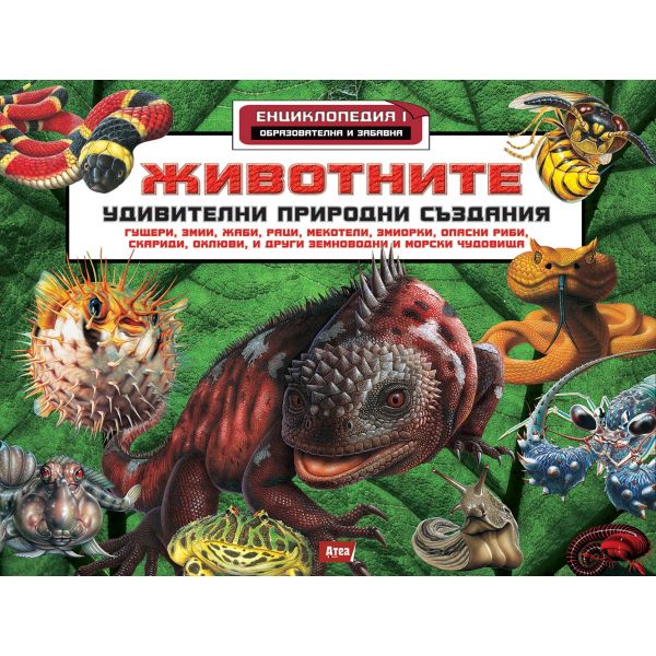 Животните: Удивителни природни създания