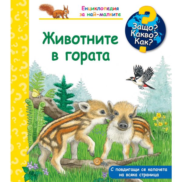 Защо? Какво? Как? Животните в гората