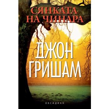 Сянката на чинара
