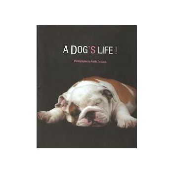 A DOG`S LIFE!