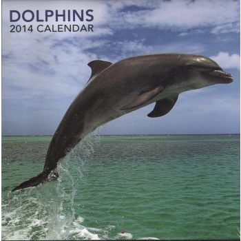 DOLPHINS 2014. /стенен календар/