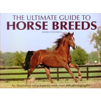 THE ULTIMATE GUIDE TO HORSE BREEDS