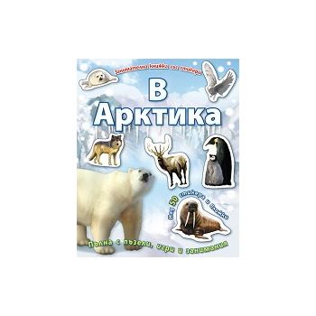 В Арктика: Занимателна книжка със стикери