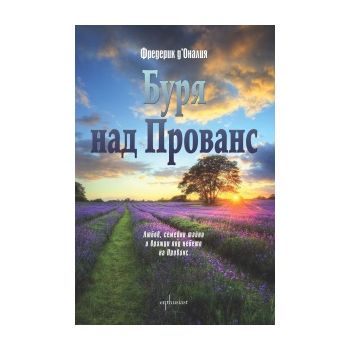 Буря над Прованс