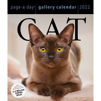 CAT PAGE-A-DAY GALLERY CALENDAR 2022