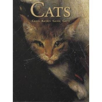 CATS: Greeting Card