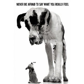 POSTERS: Never Be Afraid To Say What You Really