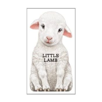 LITTLE LAMB