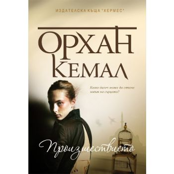 Господарката на чифлика, книга 1: Произшествието