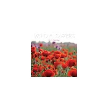 WILD FLOWERS 2013. /стенен календар/