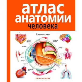 Атлас анатомии человека, 2-е издание