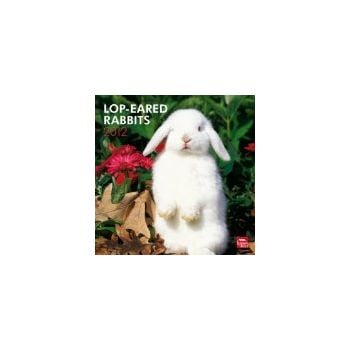 LOP-EARED RABBITS 2012. /стенен календар/