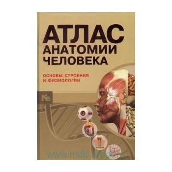Атлас анатомии человека: основы строения и физио