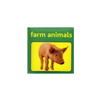 FARM ANIMALS. “Armadillo“