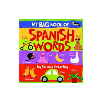 MY BIG BOOK OF SPANISH WORDS