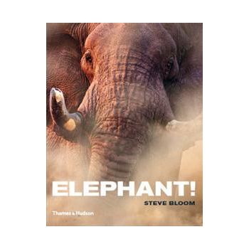ELEPHANT!