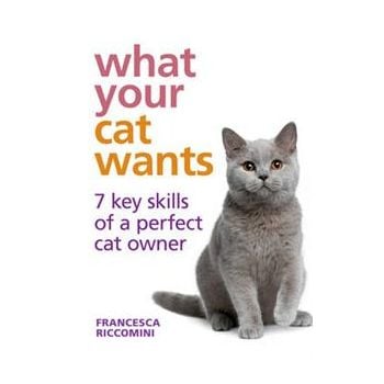 WHAT YOUR CAT WANTS: 7 Key Skills of a Perfect C