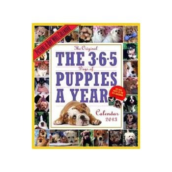 365 DAYS OF PUPPIES-A-YEAR CALENDAR 2013. /стене