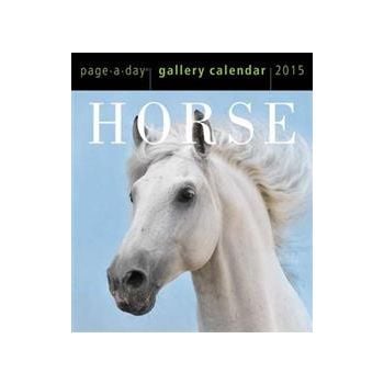 HORSE PAGE-A-DAY GALLERY CALENDAR 2015