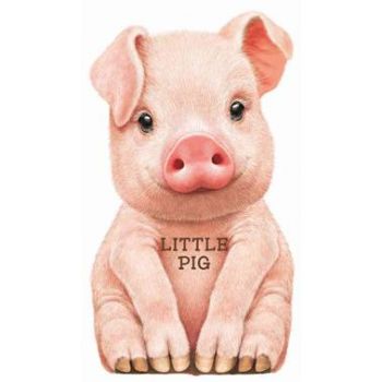 LITTLE PIG
