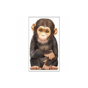 LITTLE MONKEY. “Look At Me“