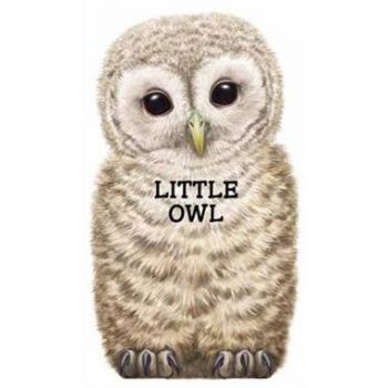 LITTLE OWL. “Look at Me“