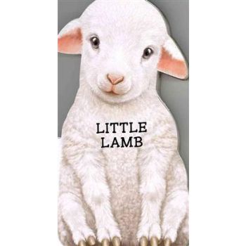 LITTLE LAMB. “Look at Me“