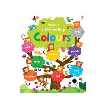 LIFT THE FLAP COLOURS BOOK