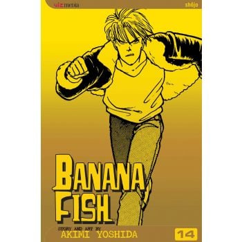 BANANA FISH, Vol. 14