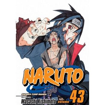NARUTO, Vol. 43