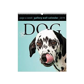 DOG PAGE-A-WEEK GALLERY CALENDAR 2019. /стенен календар/