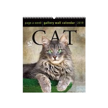 CAT PAGE-A-WEEK GALLERY CALENDAR 2019. /стенен календар/