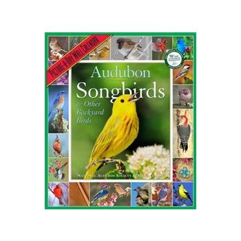 AUDUBON SONGBIRDS & OTHER BACKYARD BIRDS 2013