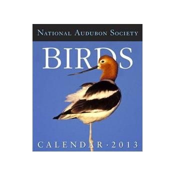 BIRDS GALLERY 2013. (Calendar/Page A Day)