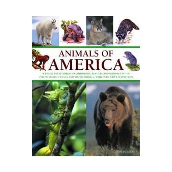 ANIMALS OF AMERICA: a visual encyclopedia of amp