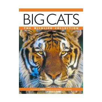 BIG CATS: The Wildlife Collection