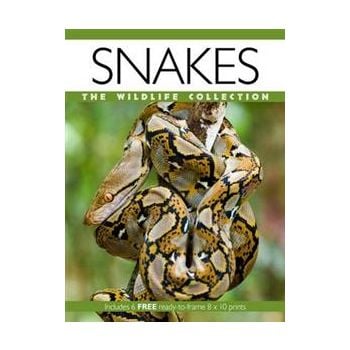 SNAKES: The Wildlife Collection