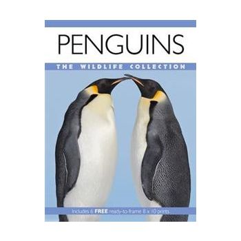 PENGUINS: The Wildlife Collection