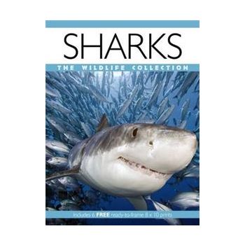 SHARKS: The Wildlife Collection