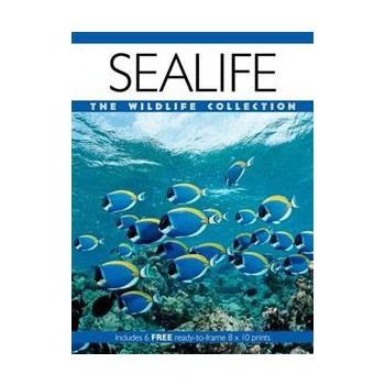 SEALIFE: The Wildlife Collection