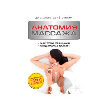 Анатомия массажа