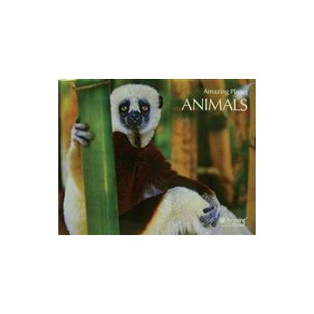 ANIMALS: Posters