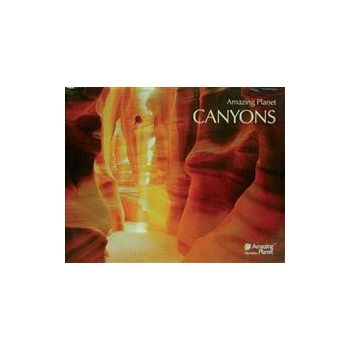 CANYONS: Posters