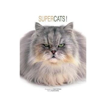 SUPER CATS!