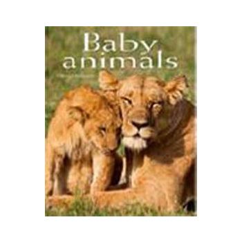 BABY ANIMALS: POCKET BOOK