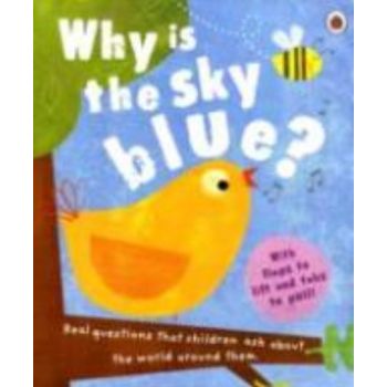 WHY IS THE SKY BLUE?. (Geraldine Taylor)