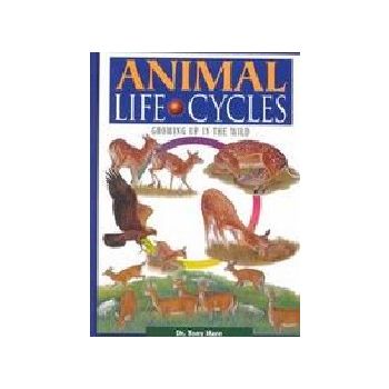ANIMAL LIFE. CYCLES. Growing up in the wild. (Dr
