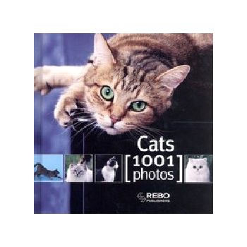 CATS : 1001 Photos. “REBO“
