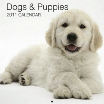 DOGS & PUPPIES 2011. /стенен календар/