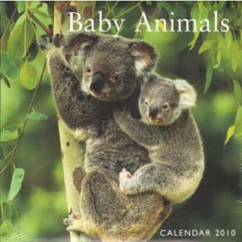 BABY ANIMALS 2011. /стенен календар/